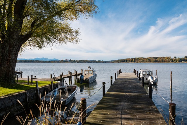 和三笘薰合影的11岁小球员有日本和法国血统，出自吉田麻也担任院长的青训机构